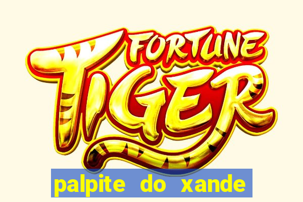 palpite do xande de hoje